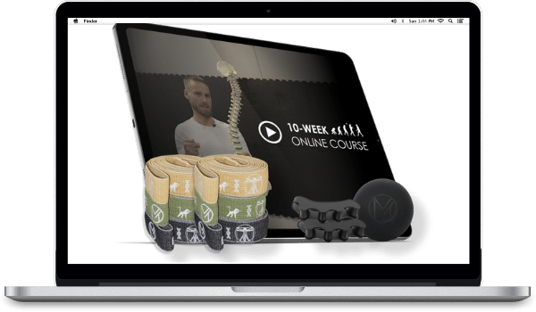Human Mechanics 10-Week Course Download