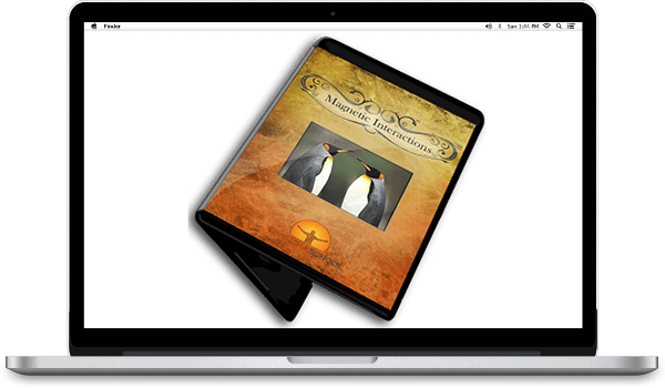 Charisma School-Magnetic Interactions-Download
