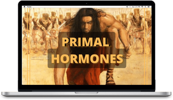 Primal Hormones - Aesthetic Primal